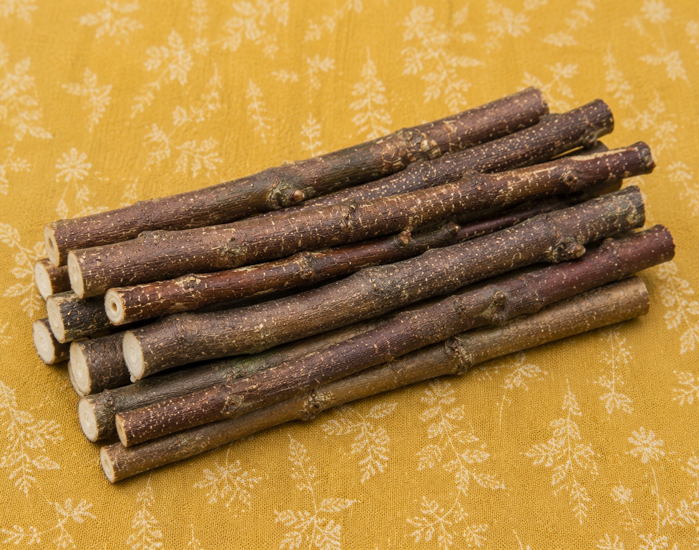 Organic Apple Sticks Chew Toys